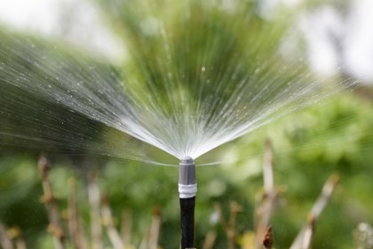 https://www.meister-und-meister.de/wp-content/uploads/2016/06/gartenbewaesserung-bb-1-420x280.jpg