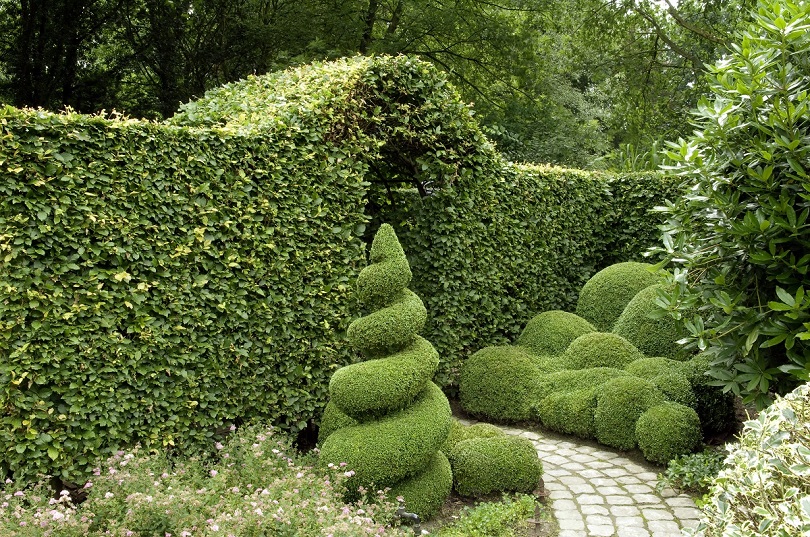Kleiner Garten im englischen Stil