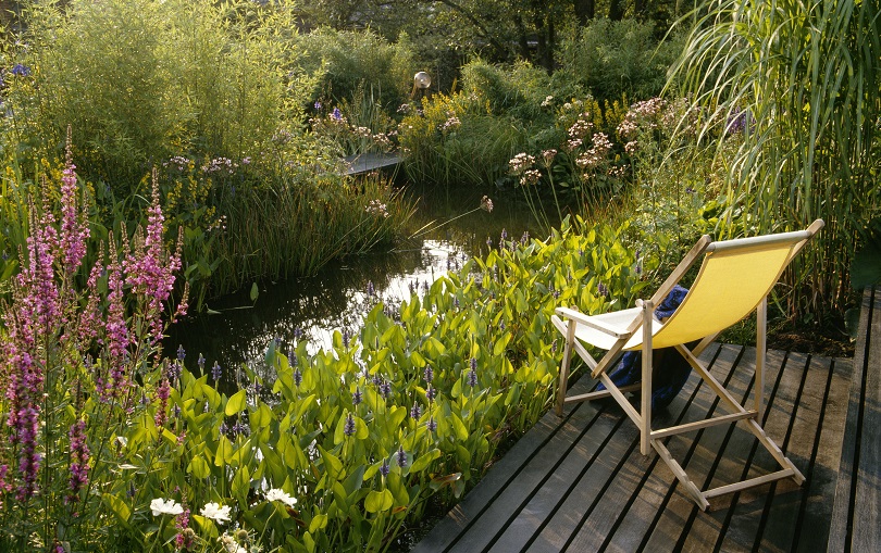 Eine naturnah gestaltete Wasserstelle im Garten ist ein Paradies für viele Gartenlebewesen.